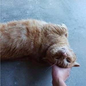 Meet your Posher, Monica